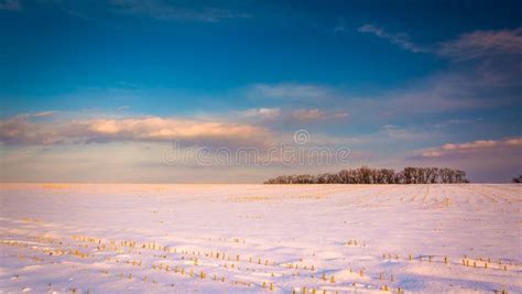 Evening Sky Over A Snow Covered Farm Field In Rural Carroll County