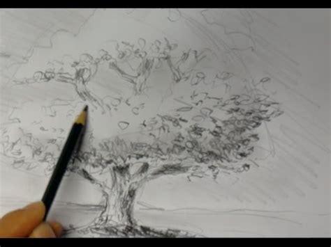 Sie zählen zu den schönsten der welt: ganz einfach zeichnen lernen 2 | Baum - YouTube