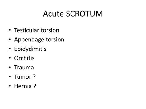 Ppt Acute Scrotum Powerpoint Presentation Free Download Id167798