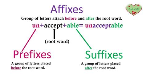 Iready Affixes And Root Words Diagram Quizlet