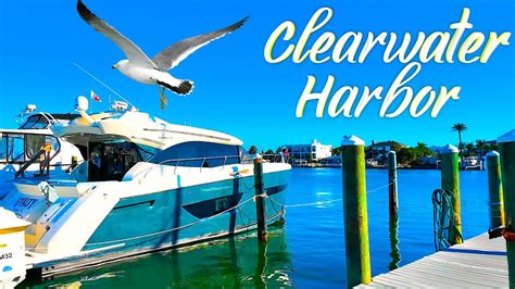 Clearwater Harbor Marina Walking Tour Luxury Yachts Youtube