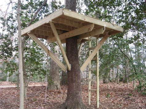 Maybe you would like to learn more about one of these? My Treehouse | Simple tree house, Tree house diy, Tree ...