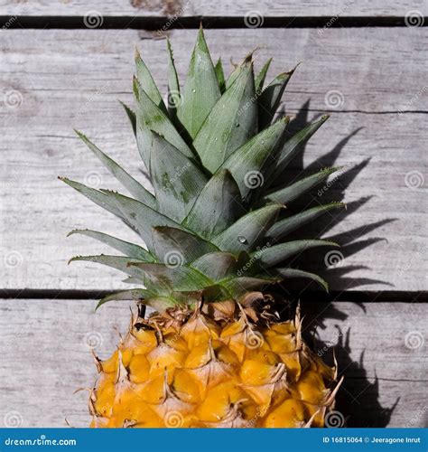 Pineapple Fruit Stock Photo Image Of Citrus Thailand 16815064