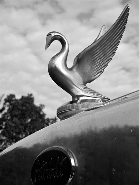 It's easy to find mack or peterbilt hood ornaments as well as many other reliable brands and parts for all your chrome additions. peterbilt-swan-hood-ornament | Hood ornaments, Gargoyles ...