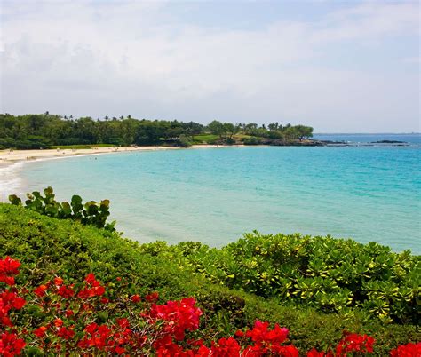 The Very Best Beaches On Hawaiis Big Island Big Island Hawaii Big