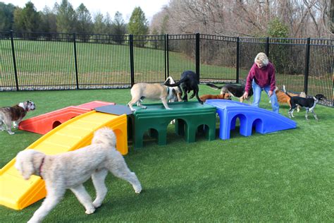 Well this is the worst pet hospital i've ever used. Pet News & Articles | Urban Pet Hospital Blog | Choosing a ...