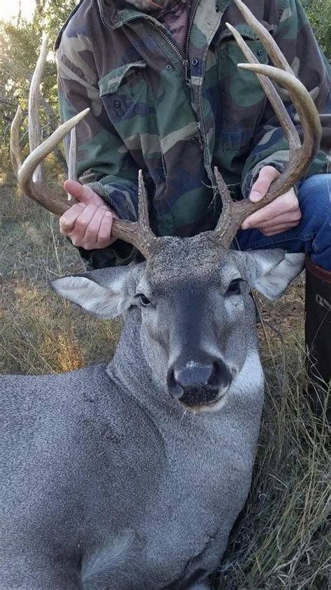 Biggest Buck I Have Shot Yet Great Start To 2018 Deer Season