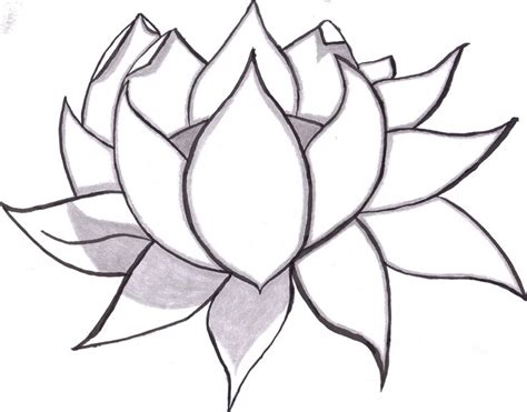 How to draw realistic flowers using the bowl cup method. Learn to draw flowers of all kinds, from simple daisies to ...