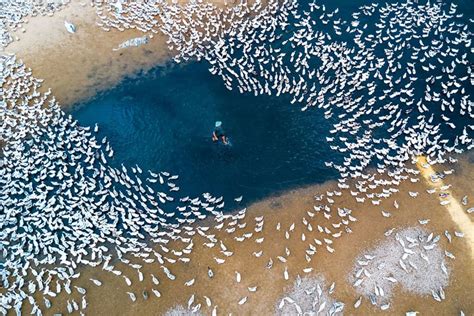 20 Spectacular Winning Photos In The 2017 Best Aerial Photography