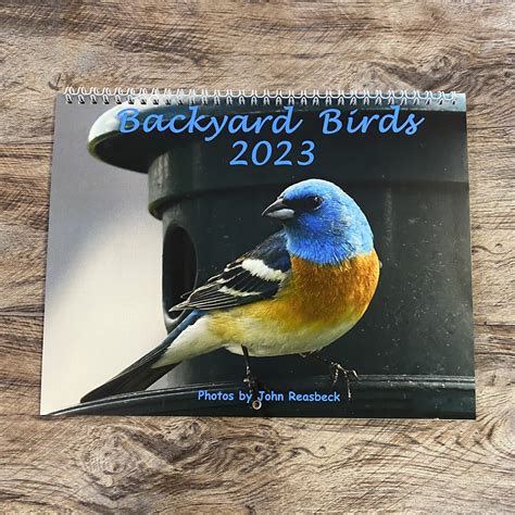 Backyard Birds 2023 Calendar Backyard Birds Nature Shop