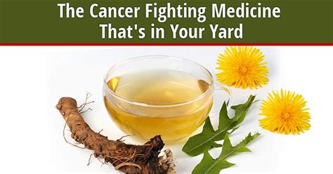This Incredible Root Has Been Shown To Kill Of Cancer Cells In Just Days Useful Tips For