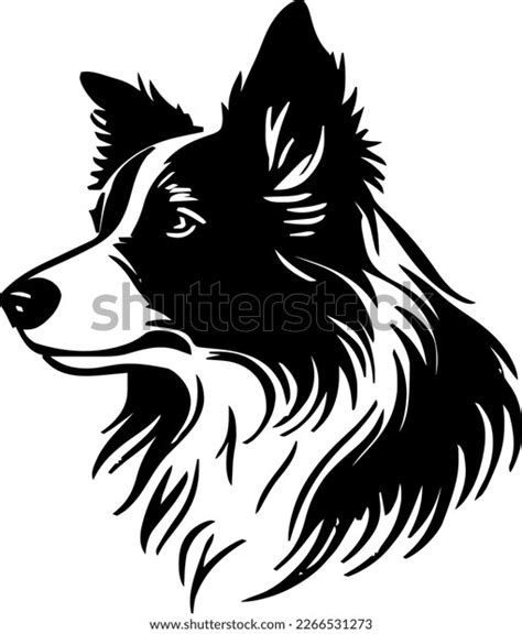 Border Collie Outline Only Dog Head Stock Vector Royalty Free