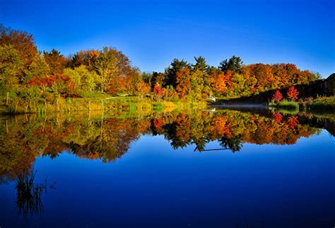 The top 5 conservation areas around Toronto