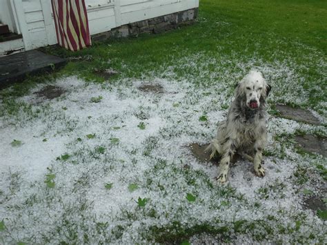 Large Hail But No Tornado In Central And Southern Vermont Vermont