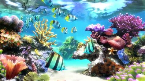 Dream Aquarium Screensaver Windows 10 Ropotqhand