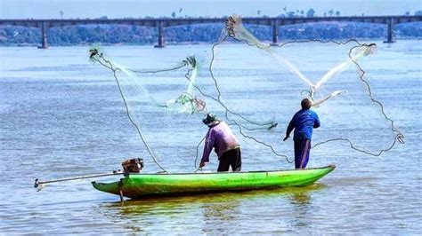 La Pesca Y La Acuicultura Representan Más Del 20 Del Pib De Centroamérica