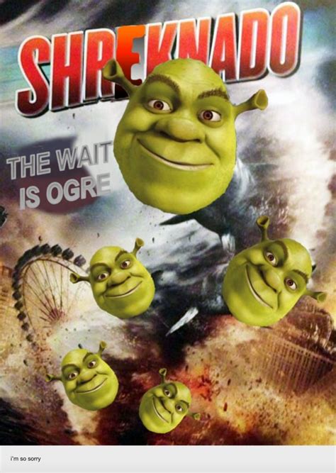 Donkey Shrek Dragon Meme Apsgeyser