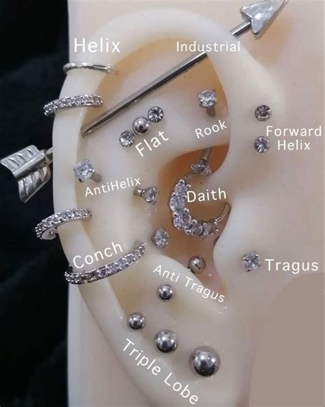 These Are The 10 Most Popular Ear Piercing Types In 2023 — Trilogy Atelier