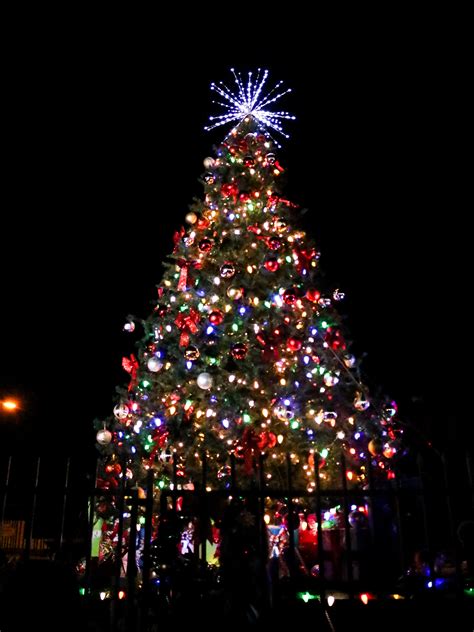 Mixed lighting can give your christmas tree a warm glow. Christmas Tree Lighting - Ramona Chamber of Commerce