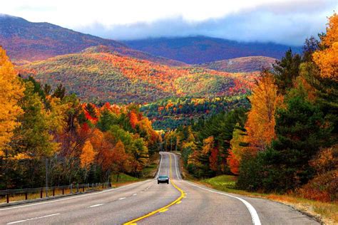 Have A Knack For Spotting Fall Foliage Apply To Be An Official New