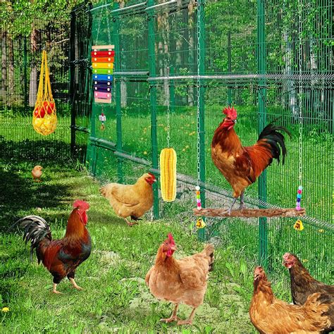 Hipykat 6 Packs Chicken Toys Set With Chicken Xylophone Toy Chicken Mirror Chicken Ladder