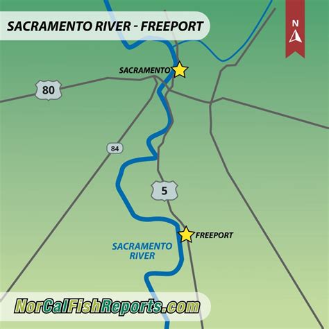 Sacramento River Freeport Fish Report Sacramento River Freeport