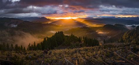Morning Sun Under Clouds In Tillamook State Forest Oregon Oc