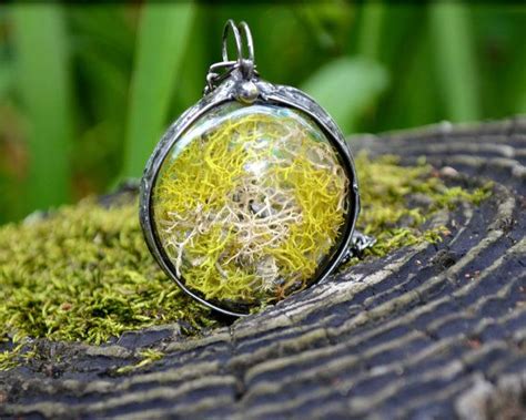 Real Moss Necklace Hand Blown Glass Terrarium By Bayouglassarts
