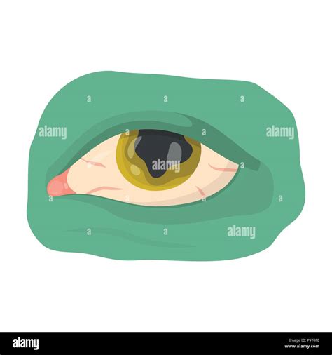 Eye Single Icon In Cartoon Styleeye Vector Symbol Stock Illustration