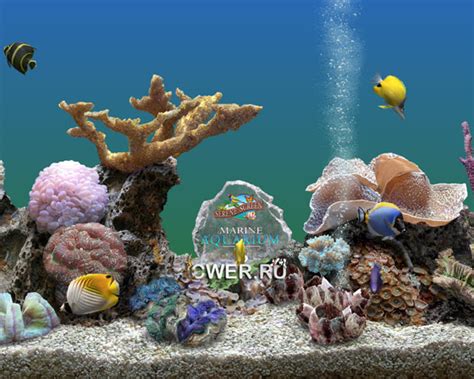 Serenescreen Marine Aquarium V325991 Скринсейверы 3d рыбки