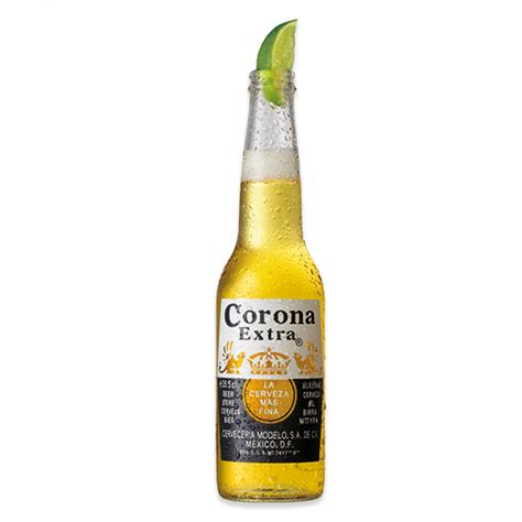 Corona Extra 330ml Molloys Liquor Stores