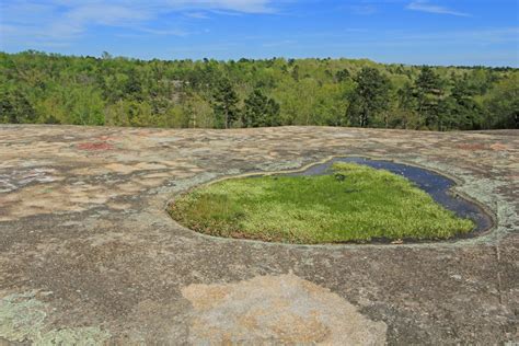 40 Acre Rock 40 Acre Rock Heritage Preserve Lancaster County South