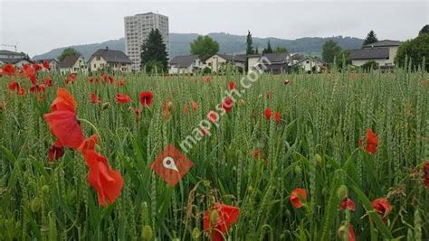 Alle filialen auf einen blick. Reinach AG Nord - Reinach