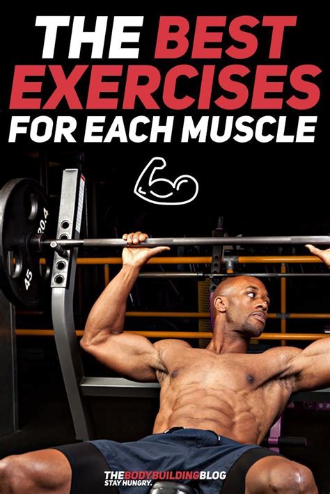 What Are The Best Exercises For Each Muscle Group Thebodybuildingblog