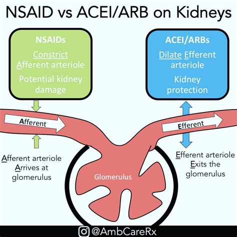 Renal Artery Stenosis And Ace Inhibitors