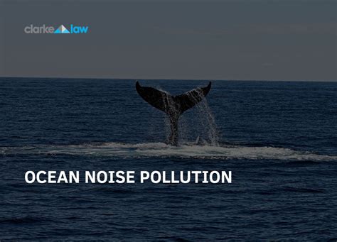 Ocean Noise Pollution Clarke Law