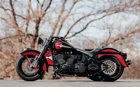 These products are equipped with electrical as well as disk brakes and can travel for a long time on a single charge. Springer Softail Sidecar | Inazuma café racer