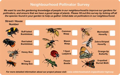 Top Ten Tips For A Pollinator Friendly Garden Wilderhood Watch