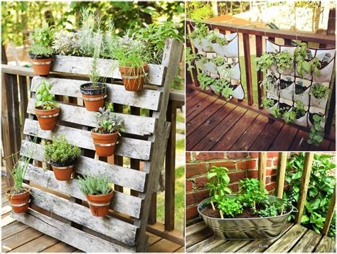Get Your Balcony A Herb Garden This Spring