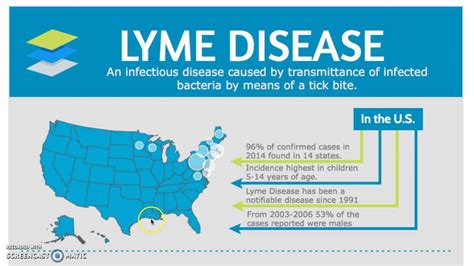 Lyme Disease Youtube
