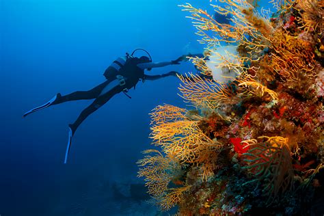 Scuba Diving Fear Identification Knowledge How To Overcome