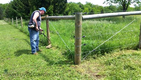 Once you have a full understanding of what makes them tick (or not, if it's done wrong) you can confidently pick the best setup for your electric fence for chickens and goats. How To Train Goats On Electric Fence | Simple Living Country Gal