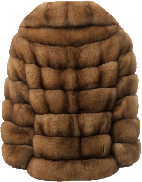 Fur Coat Png Transparent Image Download Size 467x599px