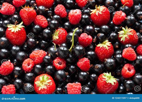 Colorful Berries Mix Background Stock Image Image Of Closeup Macro