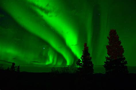 Aurora Borealis In The Sky In Yukon Territory Canada Image Free