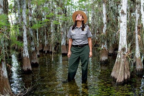Top 10 Things To Do In Everglades National Park Rileys Roves