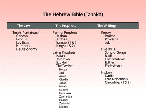 What Books Belong In The Bible Canon Of Scripture Neverthirsty