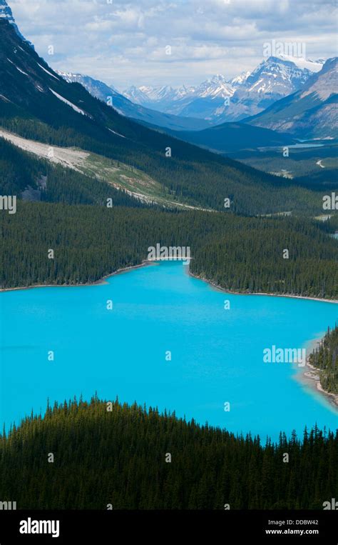 Peyto Lake Banff National Park Alberta Canada Stock Photo Alamy