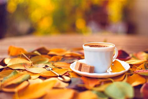 Sweet Coffee And An Autumn Carpet Hd Wallpaper