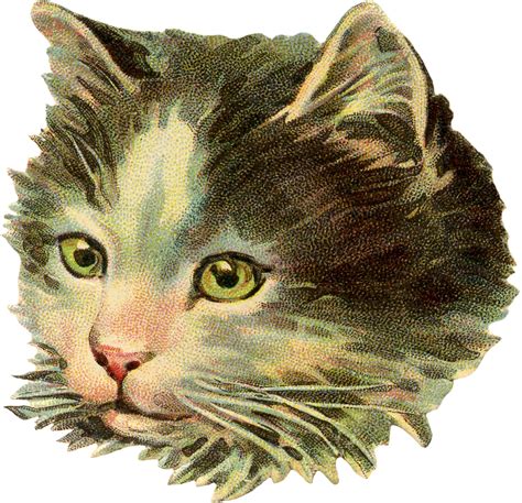 22 Beautiful Vintage Cat Pictures The Graphics Fairy